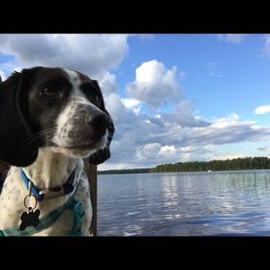 Meet your Posher, Greg